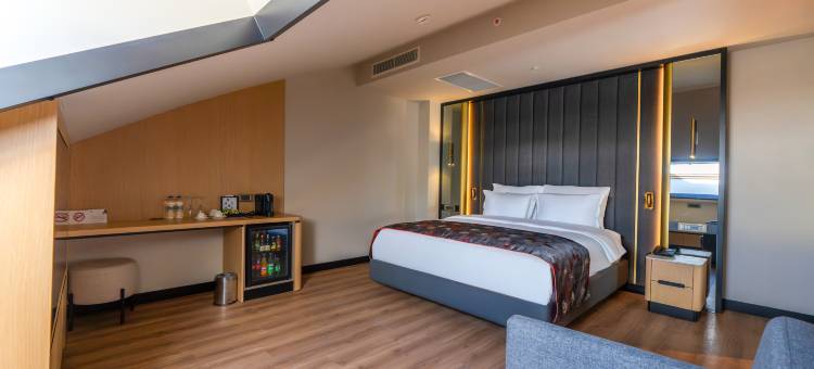 马尼酒店(Marni Hotel & Spa - Adults Only 12+)图片