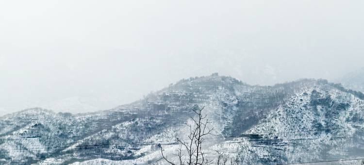泰山·东岳山居图片