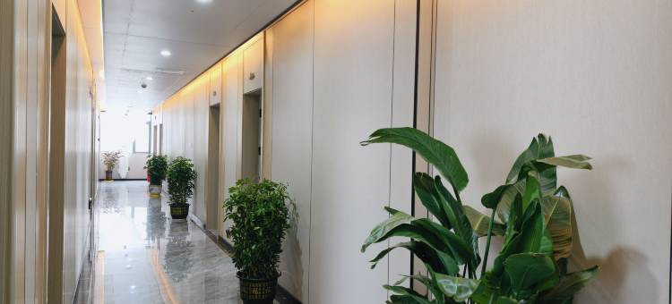 巴河大酒店图片