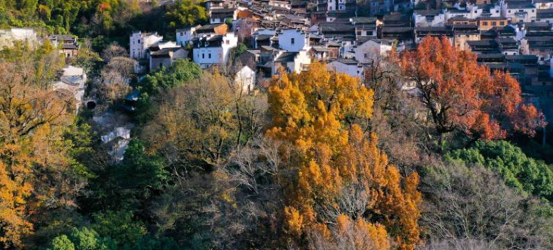 景缘美宿(篁岭风景区店)图片