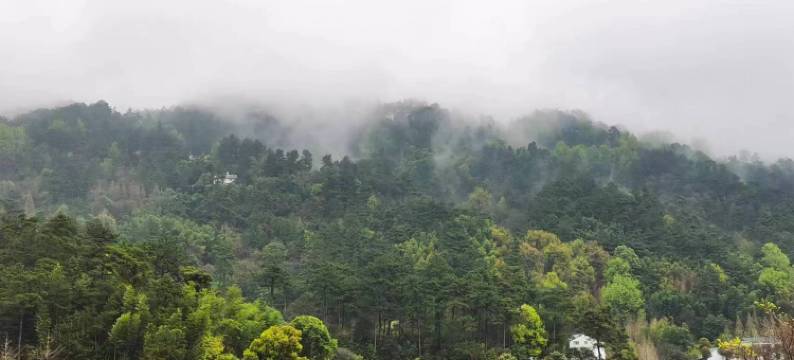 衡阳青烟里民宿图片