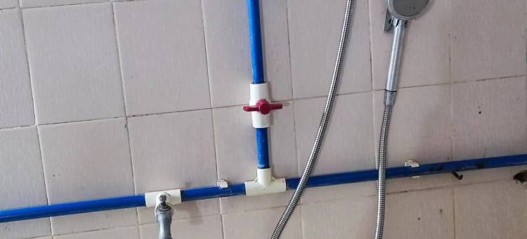 东莞麻涌市场出租房图片