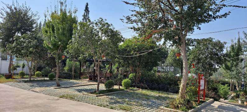 钟祥揽月民宿图片