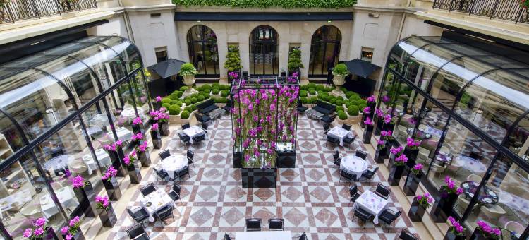巴黎乔治五世四季酒店(Four Seasons Hotel George V Paris)图片