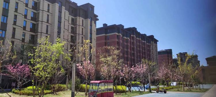 山舍民宿图片