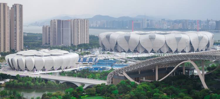 杭州国际博览中心北辰大酒店图片