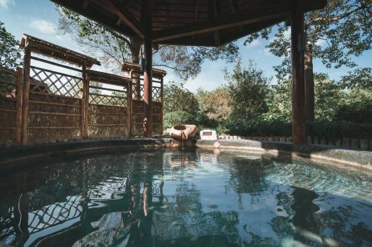 扬州唐城水韵度假酒店(瘦西湖店)图片