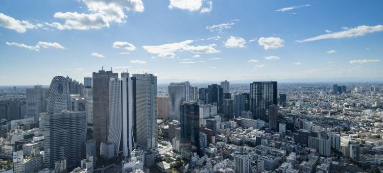新宿宾乐雅环旅酒店(HOTEL GROOVE SHINJUKU, A PARKROYAL Hotel)图片