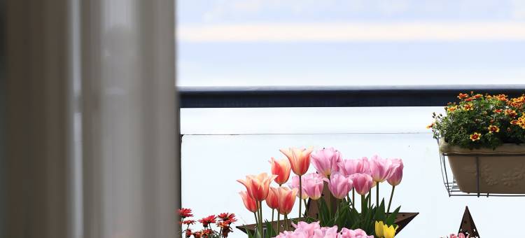 天台在水一方花园民宿(天台山琼台仙谷店)图片