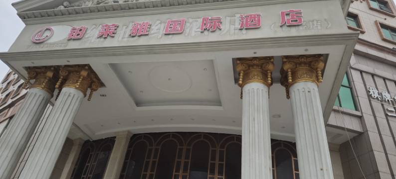 铂莱雅国际酒店(佛山官窑汇利广场店)图片
