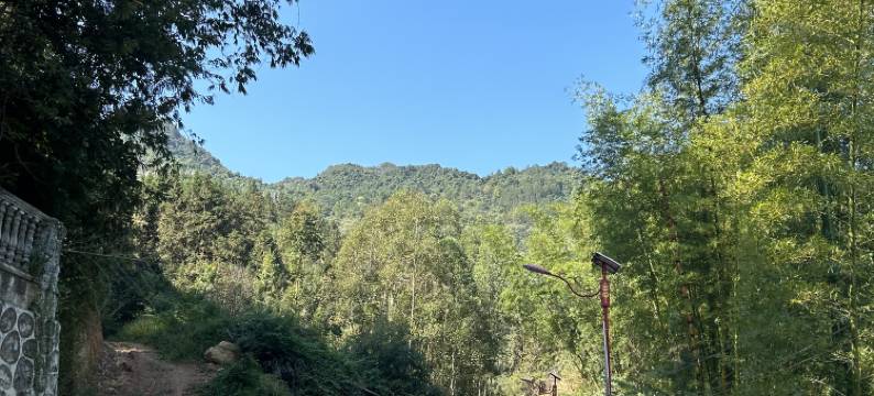 凤山桂友阳光客栈图片