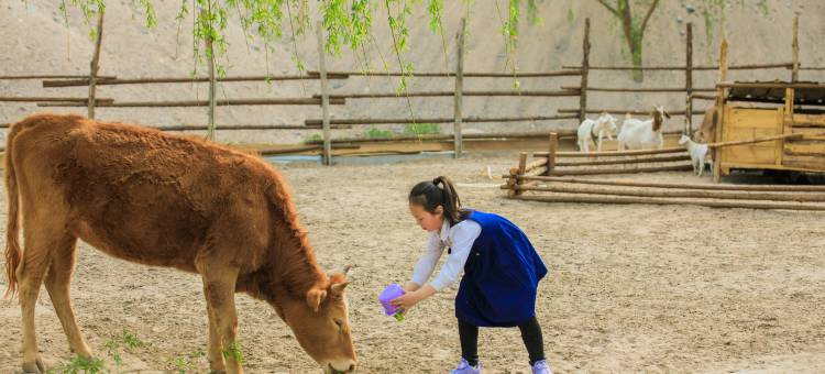 花筑·野三坡拾光山舍(龙门天关景区店)图片