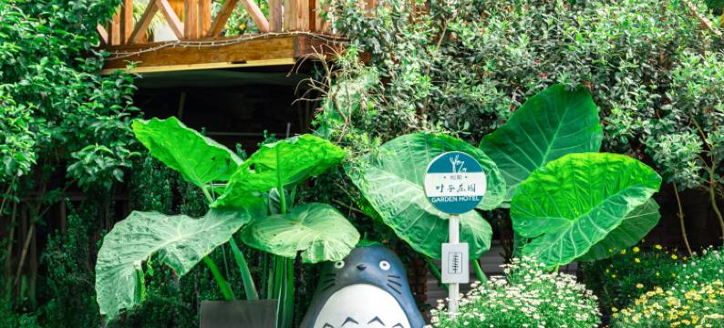 松阳叶子庄园民宿图片