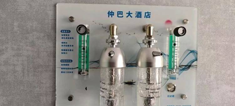 仲巴大酒店图片
