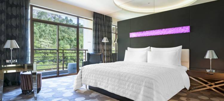 厦门艾美酒店图片