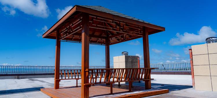 飞马大酒店(昭苏天马国际旅游文化广场店)图片