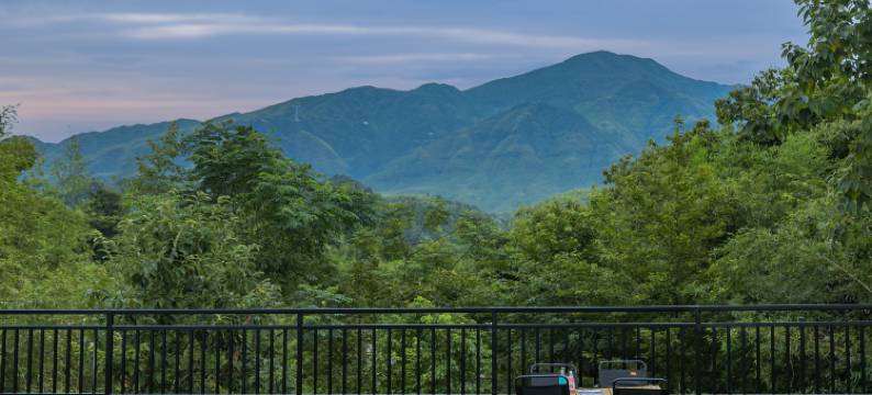 溪上山居·夏日星空泳池竹林景观亲子度假隐宿图片