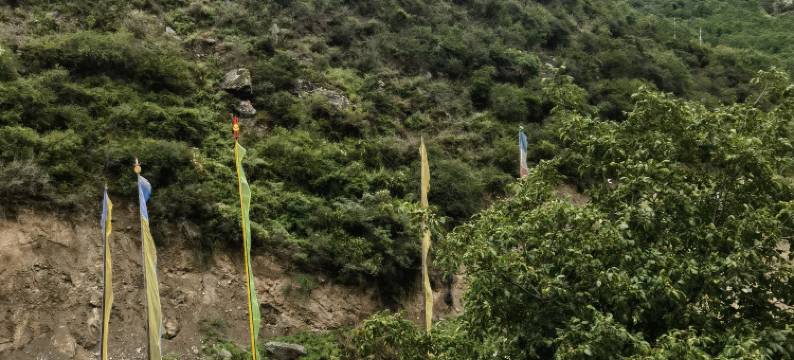 松藏山居民宿图片