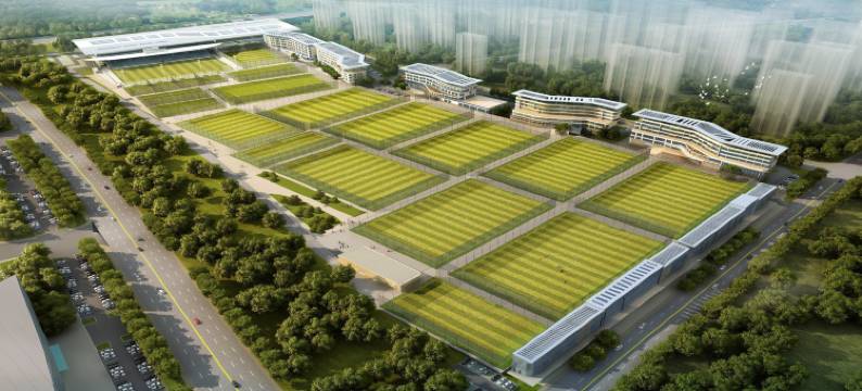 大连足球青训基地(万达体育新城店)图片
