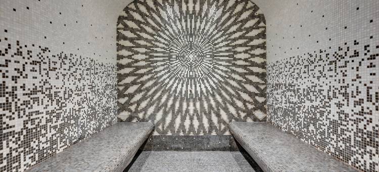 巴黎阿尔玛1号酒店(近塞纳河畔/阿尔马桥)(The One Alma Paris)图片