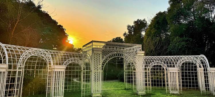 南京世茂滨江希尔顿酒店图片