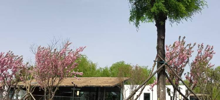 棣花之都青年公寓图片