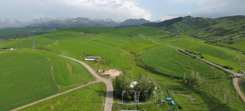 江布拉克小水山庄图片