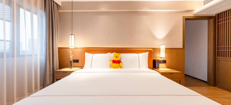 戴斯精选温德姆酒店(珠海情侣北路唐家古镇店)图片