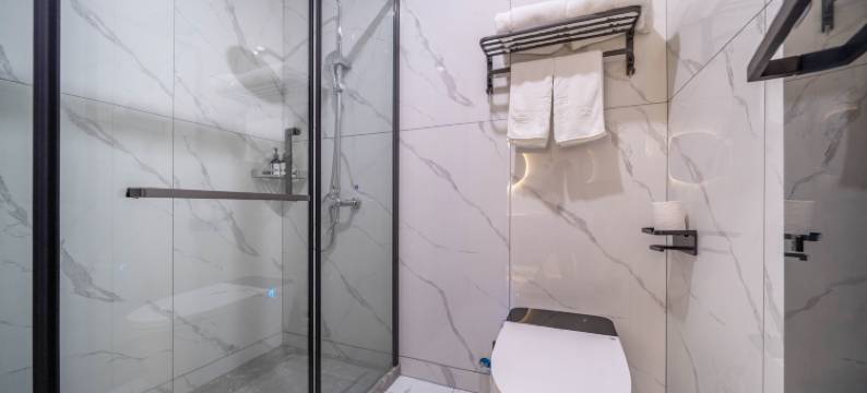 智尚酒店(上海北外滩红房子医院店)图片