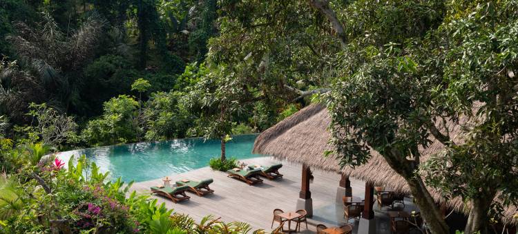 阿迪瓦纳苏维塔(Adiwana Suweta)图片