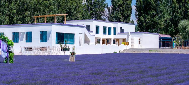 树夏民宿(晃晃村店)图片