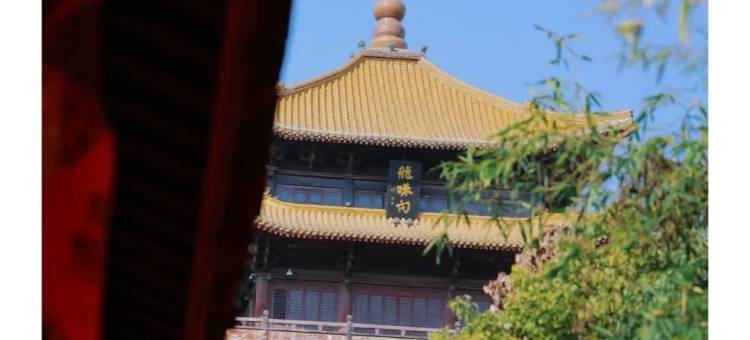 陶邑候鸟居民宿(陶阳里历史文化旅游区人民广场店)图片