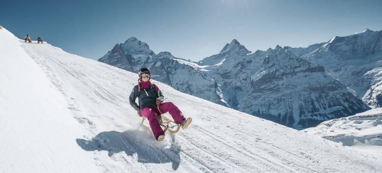 瑞士丽城品质酒店(Belvedere Swiss Quality Hotel)图片