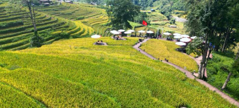 MT山脚下的房子(MT House Sa Pa - Mountain & Terraced fields View And Trekking Tour)图片