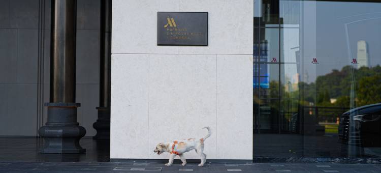 长沙岳麓万豪酒店图片