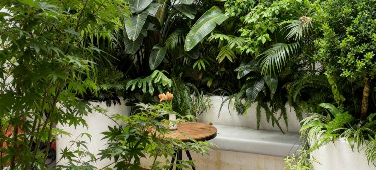 楠溪别院·Balcony古城观景·智能影音客栈(楚雄彝人古镇景区店)图片