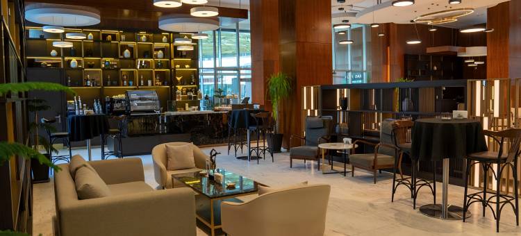 埃尔比勒丽筠酒店(Radisson Hotel & Residences Erbil)图片