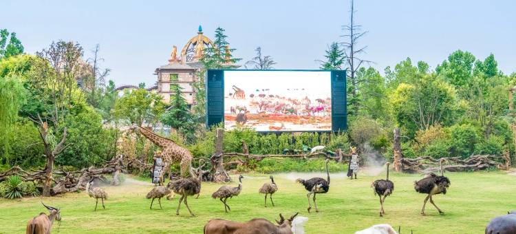 郑州银基冰雪酒店(动物王国店)图片