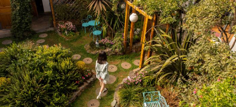 鹿仙堡良人小馆·雪山庭院观景民宿(束河古镇店)图片