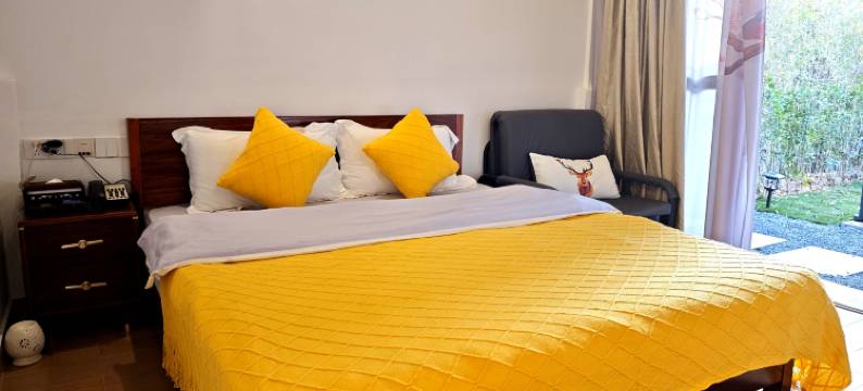 丰顺鹿湖温泉假日酒店图片