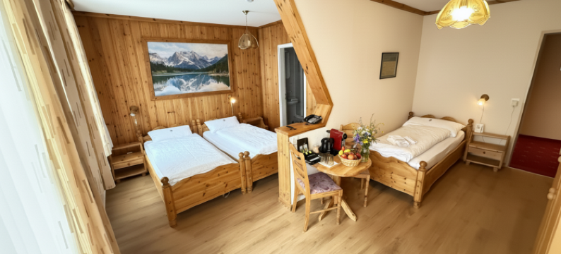 比滕贝格度假村及水疗中心(Beatenberg Resort & Spa in Beatenberg Interlaken)图片