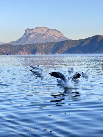 摩梭墅苑｜LuguLake mosuo·全湖景度假别院(泸沽湖大落水村店)图片