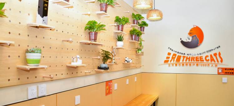 三只猫青年旅社(华熙LIVE·528店)图片