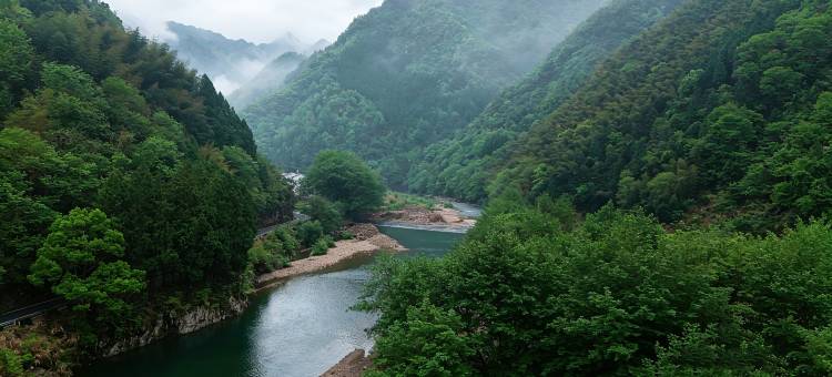 仙居云淡淡天蓝蓝民宿图片