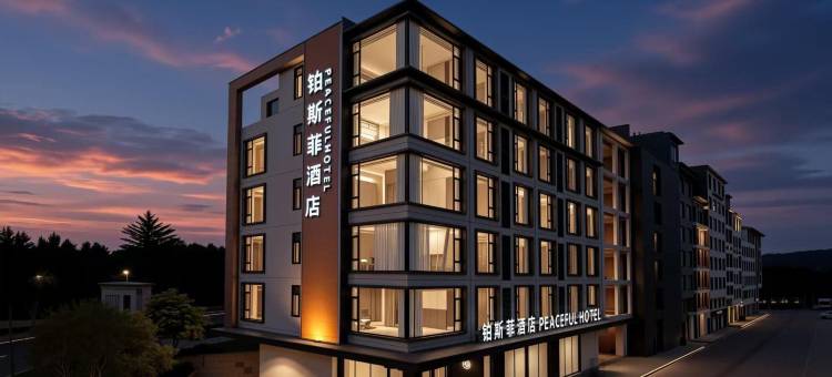 铂斯菲酒店(大理高铁站洱海公园店)图片