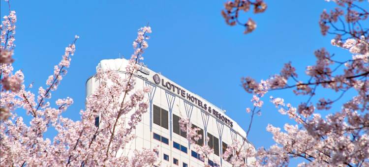 江南乐天世界酒店(Lotte Hotel World Gangnam)图片