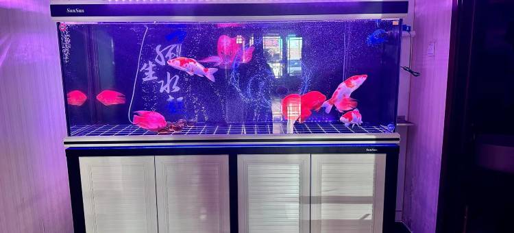 如家华驿酒店(扎兰屯火车站兴华街店)图片