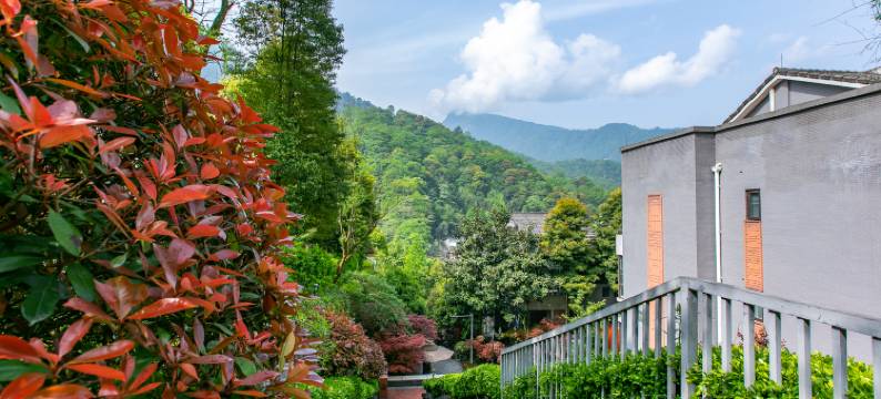青城山清居坪温泉度假名寓图片