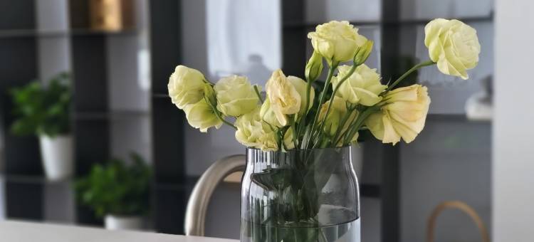 平阳顺溪里民宿(南雁荡山景区店)图片