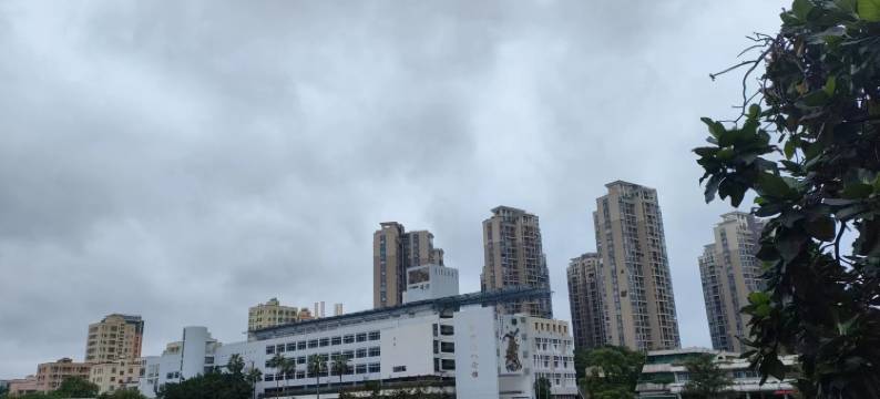 九龙酒店(深圳国际会展中心店)图片